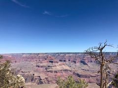 -科罗拉多大峡谷