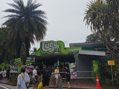 -圣淘沙天际线斜坡滑车