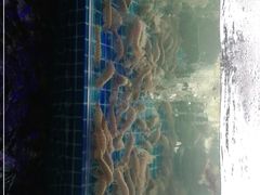 -必点蒸汽海鲜(止锚湾店)