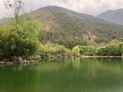 -蝴蝶泉公园