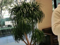 -TSK齿科德申会口腔门诊·联洋诊所
