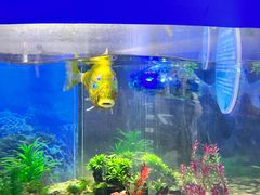 -浙江自然博物院(杭州馆)