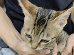 -宠颐生宠物医院外科·内科·皮肤科·影像科(石龙店)