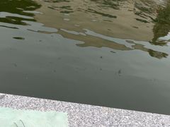 -DGE季风钓虾营地·团建·聚会