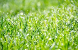 -润泽瑞尼丝医疗美容医院