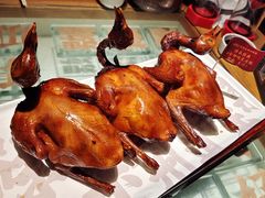 红烧乳鸽-大鸽饭(北京路店)