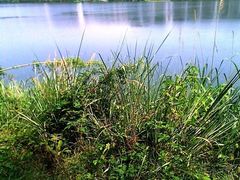 iphone_upload_pic-熙春园