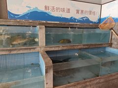 -老灶屋(金侨城店)