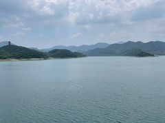 -望湖烤鱼