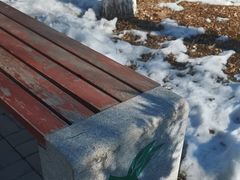 -绿岛公园(滨海新区)