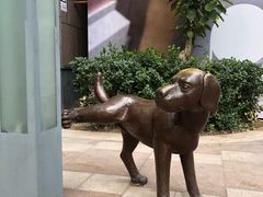 -中粮·祥云小镇