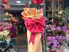 -溪岸路花鸟市场