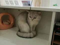 -青春加萌照相馆