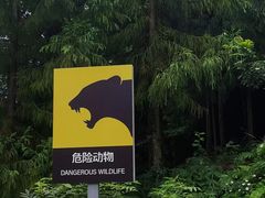 -西岭雪山大飞水景区