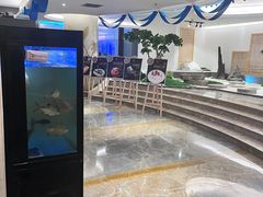 -小天鹅戴斯酒店鲸鲨百汇创作料理