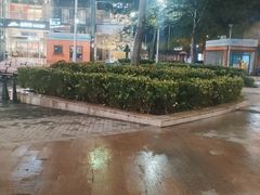 -哈根达斯(上海金山店)