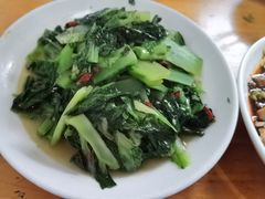 -茅屋大酒店