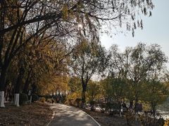 -丁香湖公园