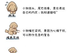 -瑞鹏宠物医院犬猫全科(真大分院)