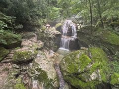 -牛背梁国家森林公园