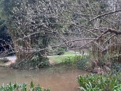 -广州市白云山风景名胜区