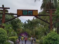 -广东花都香草世界旅游度假区