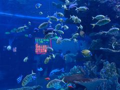 -左海海底世界
