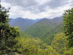 -陕西省红河谷森林公园