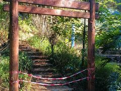 -广州市石门国家森林公园