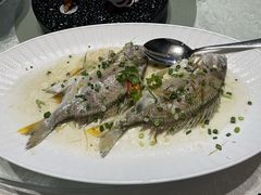 -顺德喜来登酒店·采悦轩