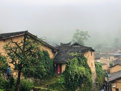 -杨家堂村