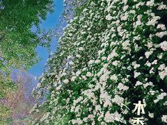 -老门东历史文化街区