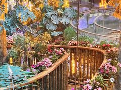 -正佳雨林生态植物园