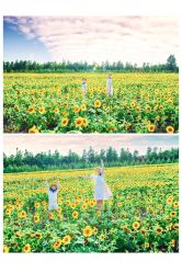 -蜜糖派儿童摄影(青建·太阳岛店)