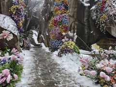 -秦岭终南山世界地质公园翠华山景区