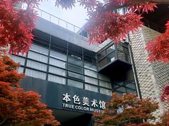 -苏州本色美术馆