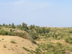 -银肯塔拉沙漠生态旅游景区