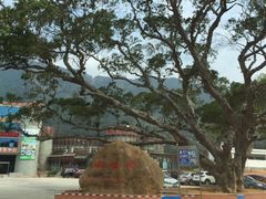 -牛鱼嘴原始生态风景区