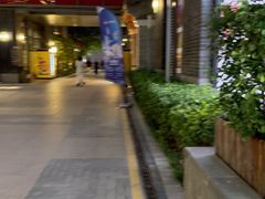-陈记卤煮小肠