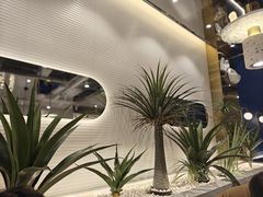 -兰湘子·湘菜小炒(崂山丽达店)