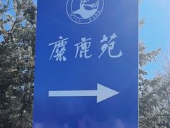 -北京麋鹿生态实验中心