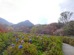-昆嵛山石门里景区