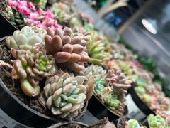 -宜家·瑞典风味餐厅(四元桥店)