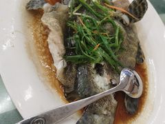 -哈味食店(外伶仃岛店)