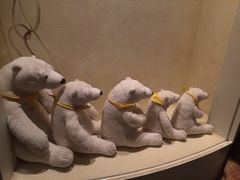 iphone_upload_pic-济州岛泰迪熊博物馆