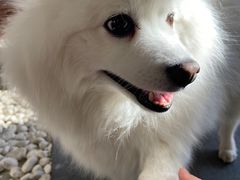 -欧邑咖啡小站 HLab Coffee