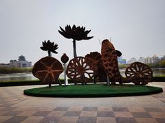 -莲花池公园