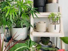 -泉乐坊步行街(烟酒特产平价超市店)