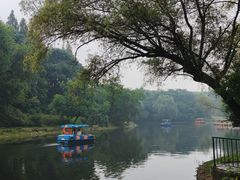 -上海共青森林公园