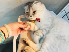 -老字号蛇口德记烧腊饭店·海鲜加工